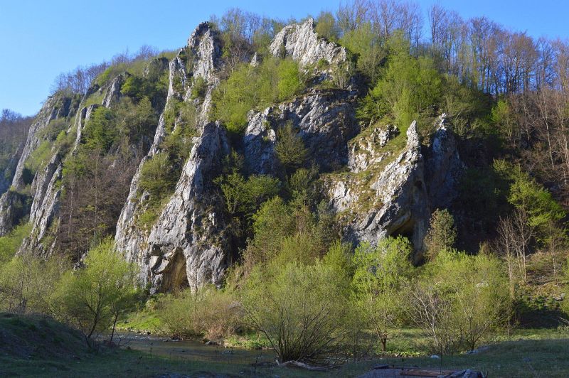 Muntii Padurea Craiului
