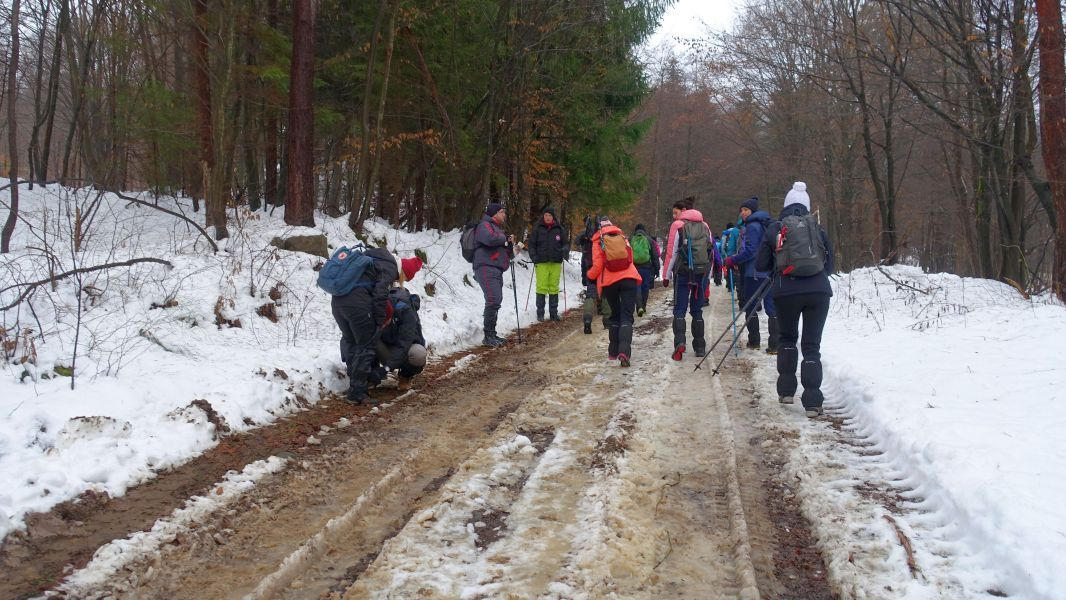 Excursii la munte 2021