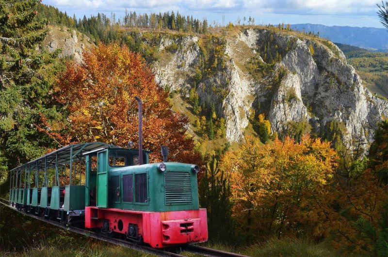 Excursie seniori Cluj